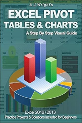 Wright Excel Pivot Tables & Charts - A Step By Step Visual Guide by A. J. Wright´s (2016)