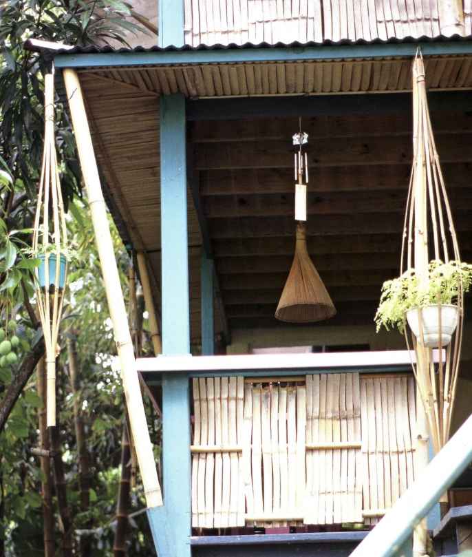 GETTING STARTED Bamboo can be worked into anything-from towering tree houses - photo 5