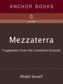 Ahdaf Soueif - Mezzaterra: Fragments from the Common Ground