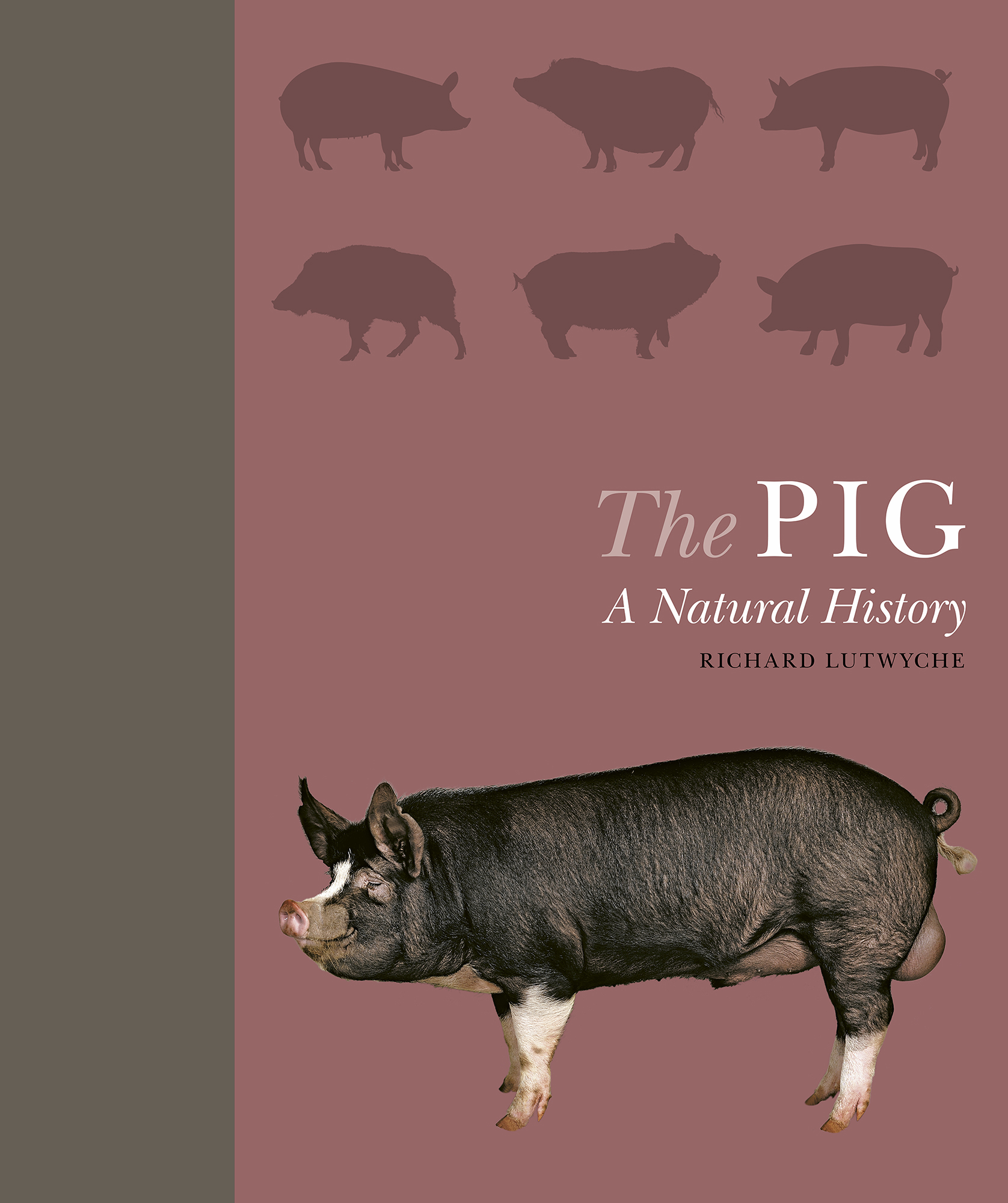 The PIG A Natural History RICHARD LUTWYCHE Introducing the Pig - photo 1