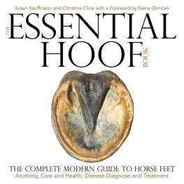 Susan Kauffmann - The Essential Hoof Book: The Complete Modern Guide to Horse Feet - Anatomy, Care and Health, Disease Diagnosis and Treatment