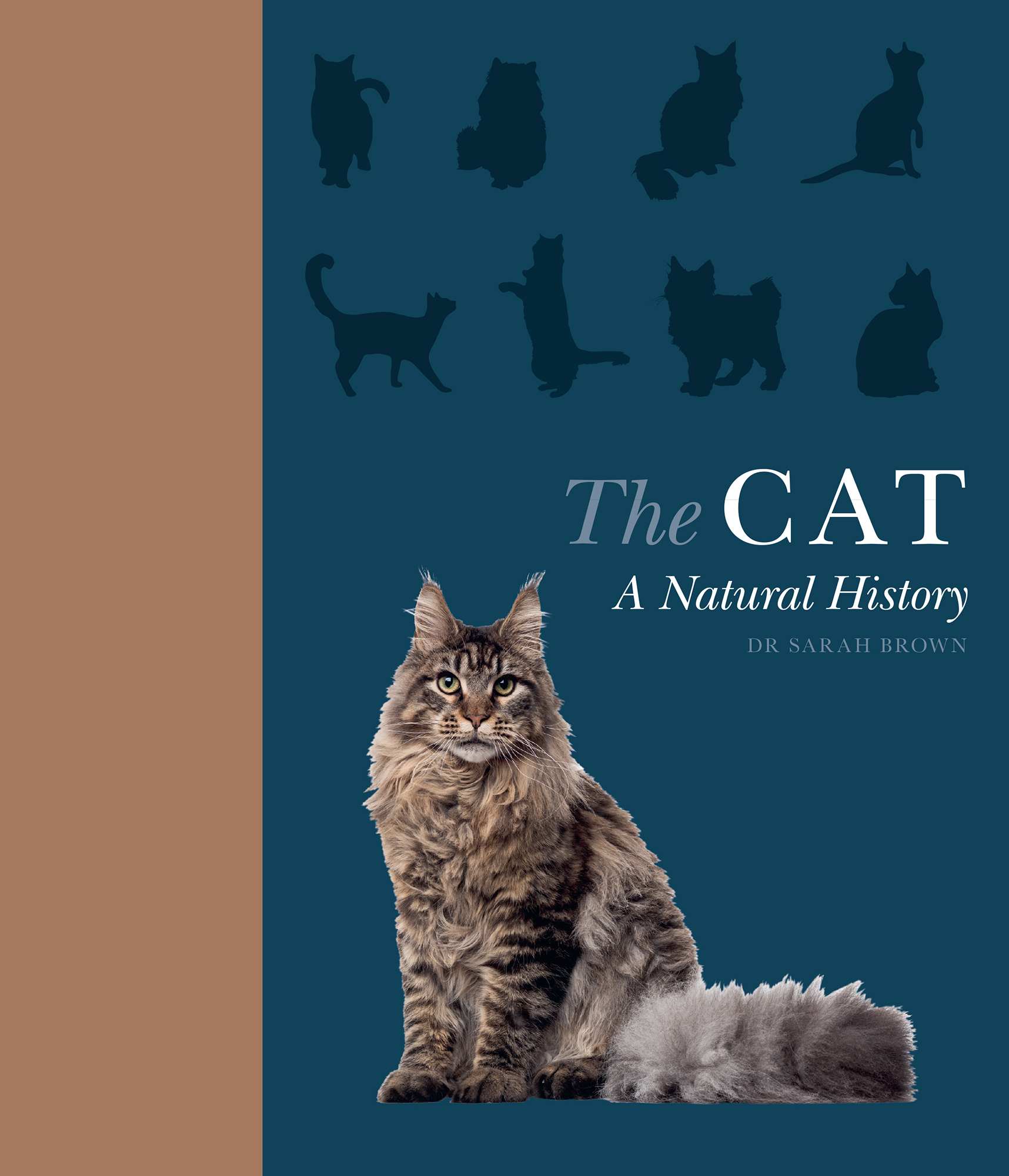 The CAT A Natural and Cultural History SARAH BROWN Introducing the Cat - photo 1