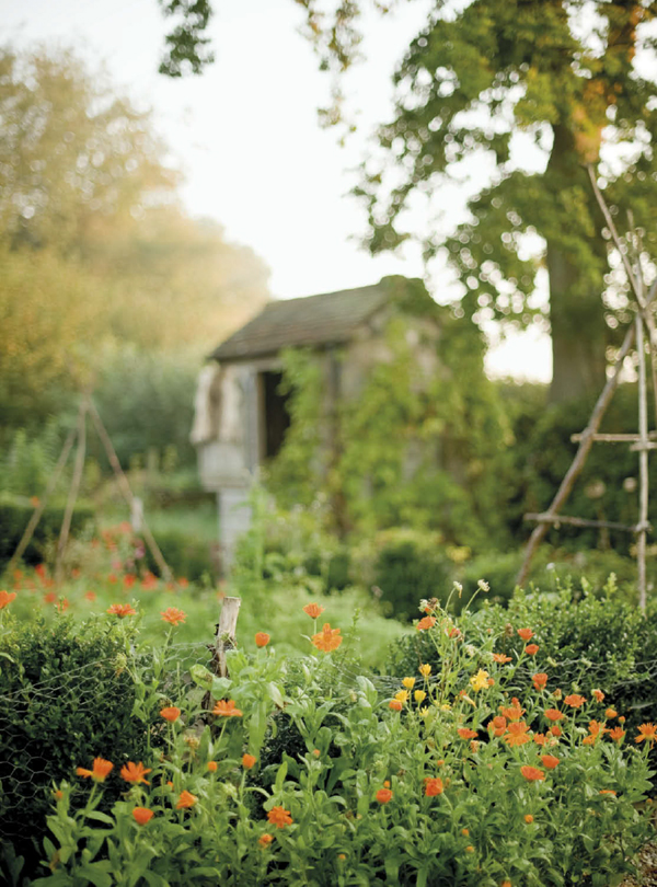 Living the Country Dream How to create a self-sufficient homestead grow your - photo 2