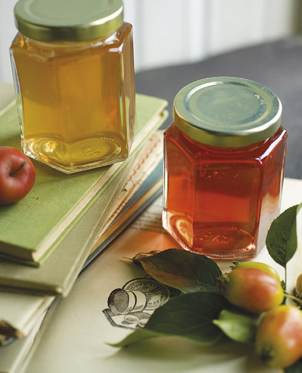 Preserves and Pickles 100 RECIPES FOR PRESERVING AND STORING FRUIT AND - photo 3