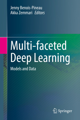 Jenny Benois-Pineau - Multi-faceted Deep Learning: Models and Data