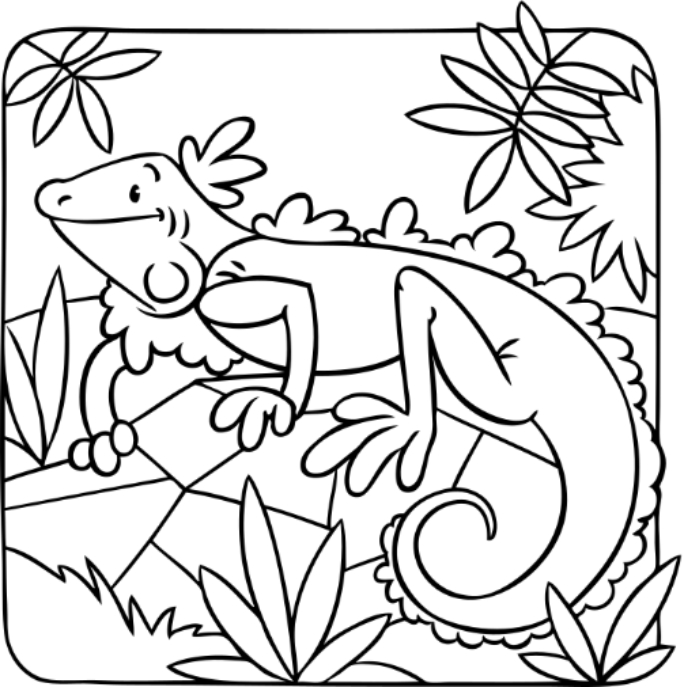 Lizard Paint the picture on the left and complete the words below Tta - photo 29