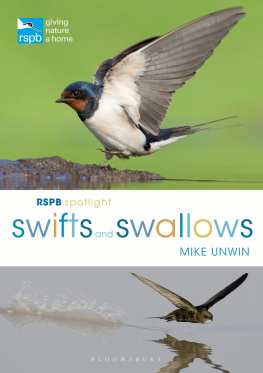 Mike Unwin Swifts and swallows