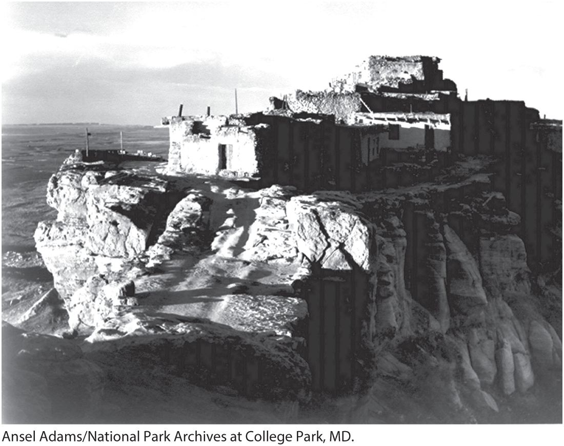 A Hopi pueblo on Black Mesa Albinism a genetic condition arises with high - photo 2