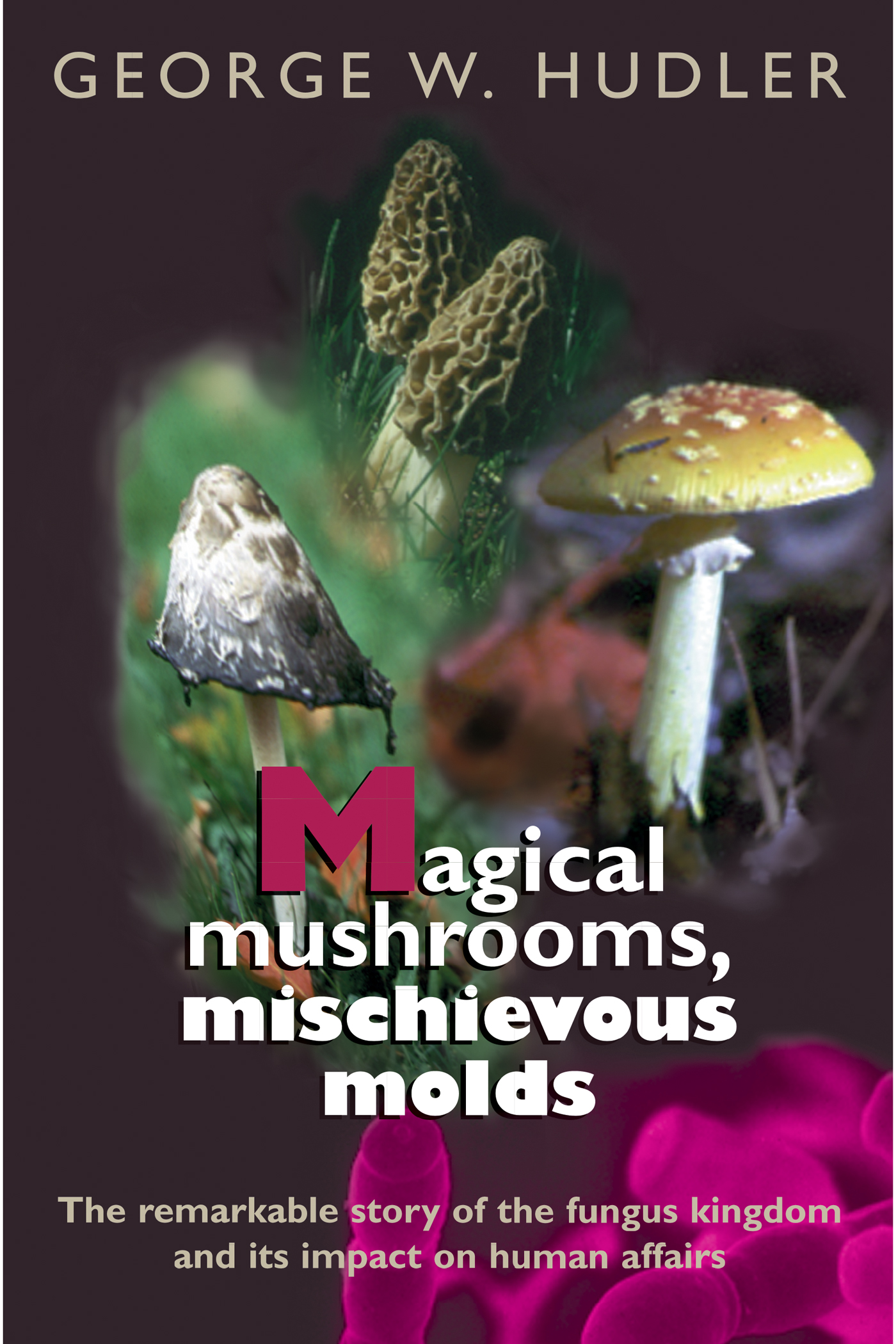 Magical Mushrooms Mischievous Molds - image 1