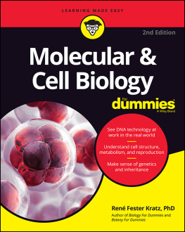 Rene Fester Kratz Molecular & Cell Biology for Dummies