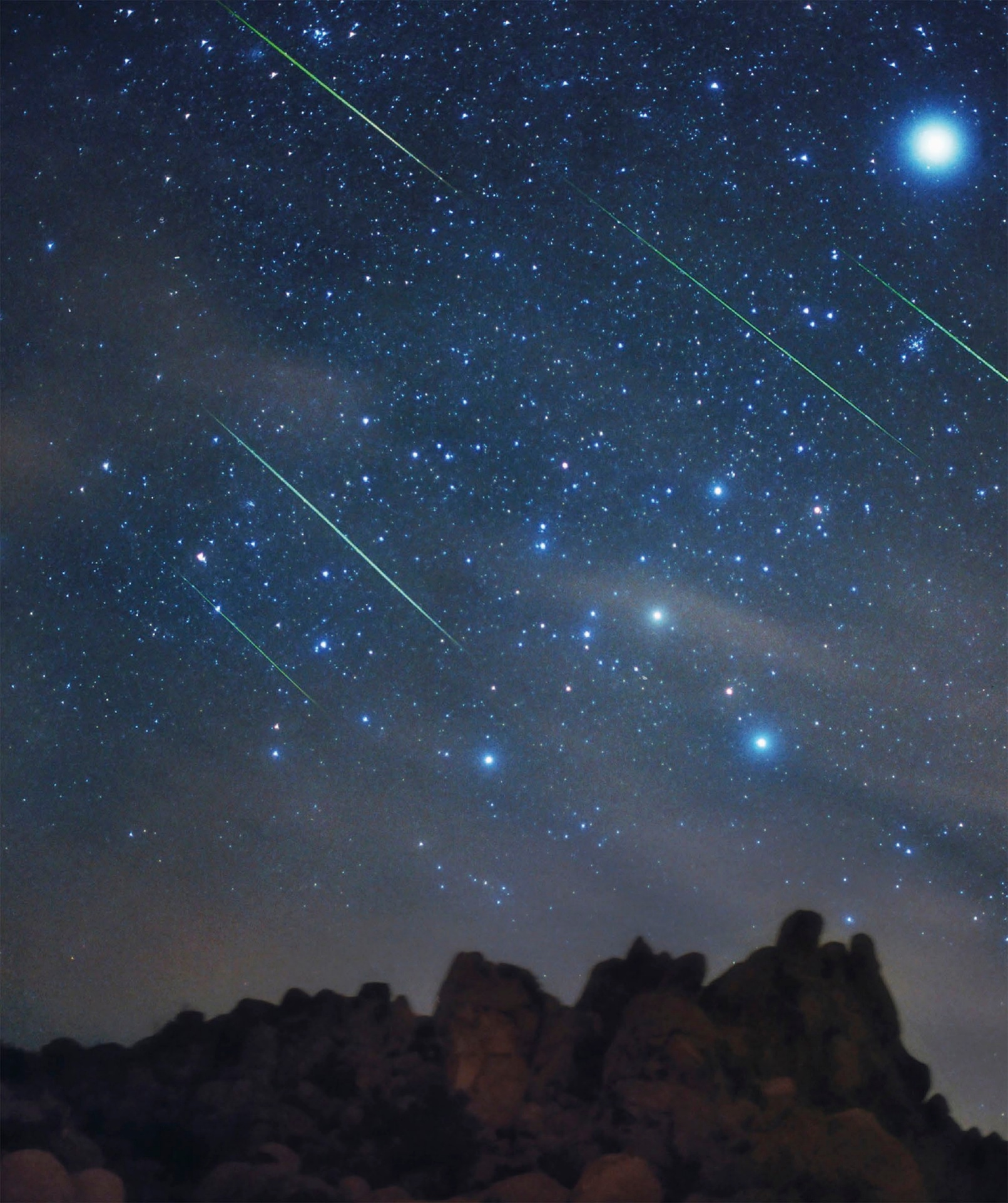 Leonid meteor shower Shooting stars here seen over Joshua T ree National Park - photo 6