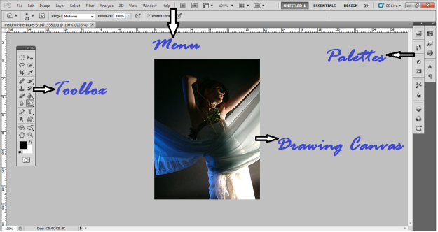 These four elements create the whole magic in Photoshop So you need to know - photo 1