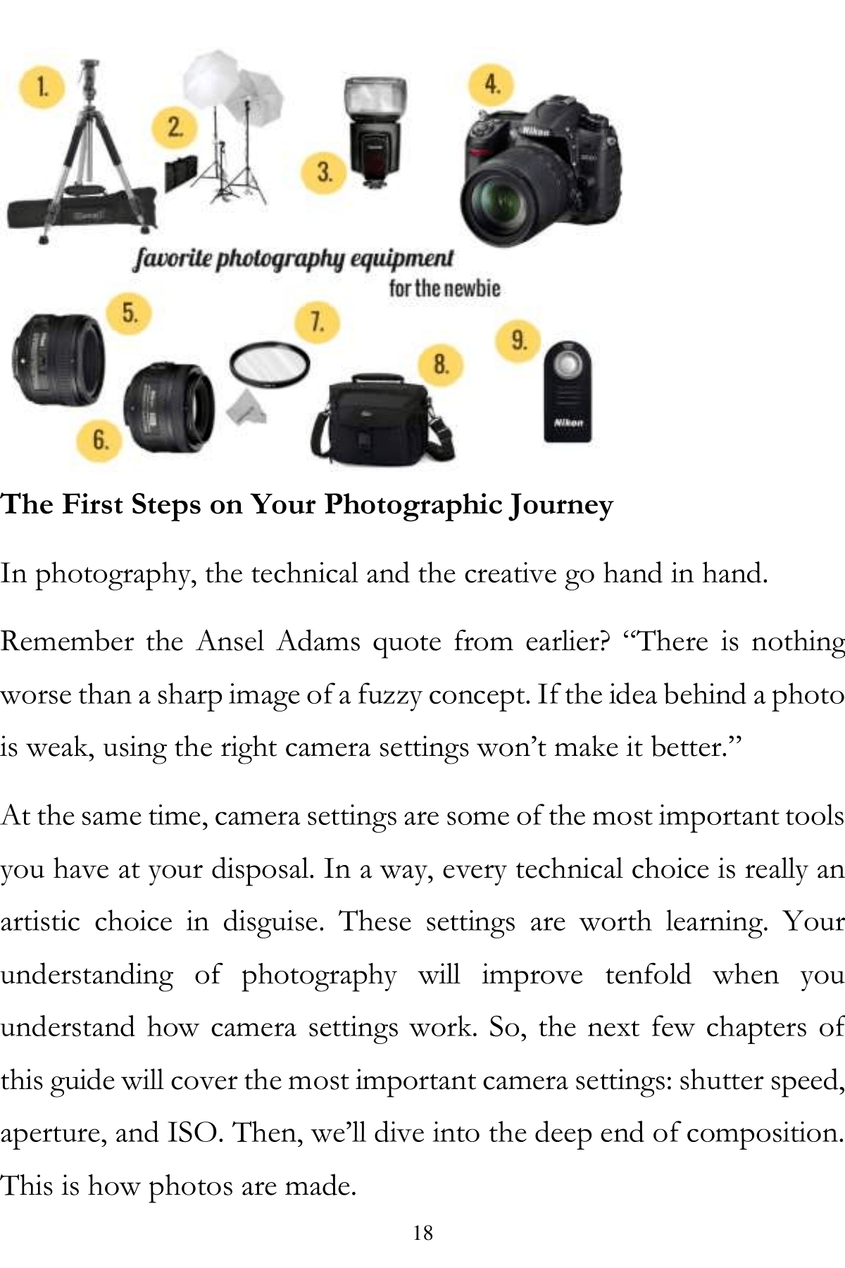 Photography Lessons A Basic Step-By-Step Guide To Taking A Great Photo The Photography Book - photo 17