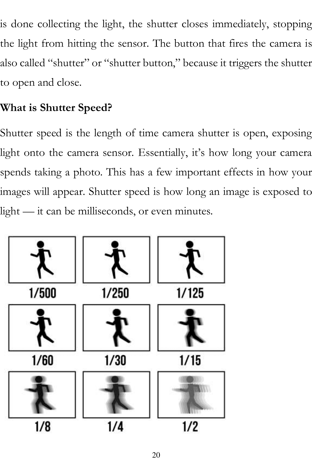 Photography Lessons A Basic Step-By-Step Guide To Taking A Great Photo The Photography Book - photo 19