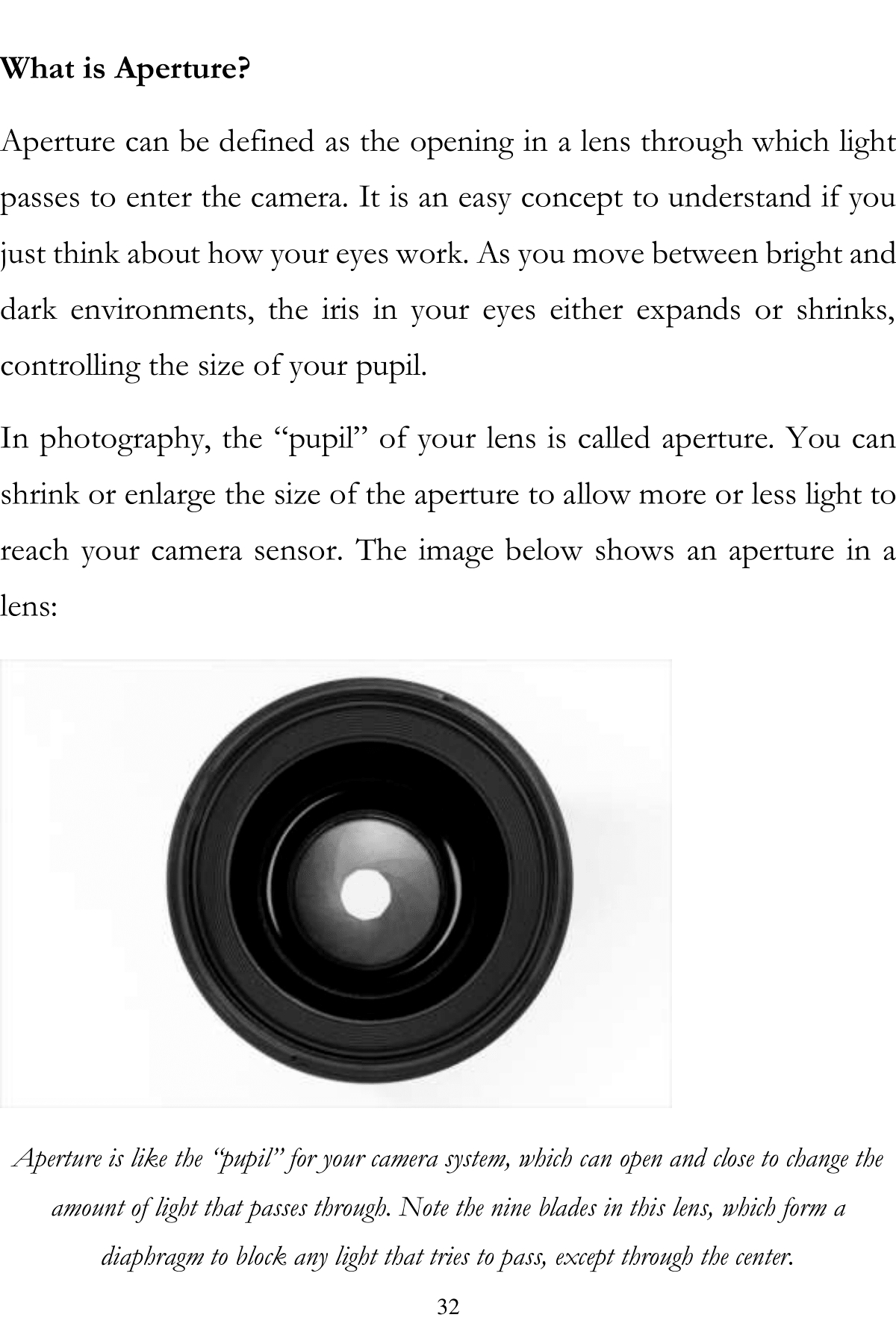 Photography Lessons A Basic Step-By-Step Guide To Taking A Great Photo The Photography Book - photo 31