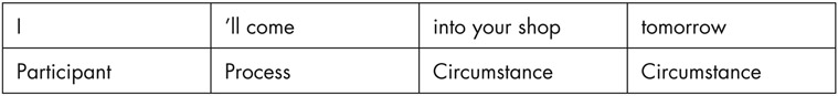 Participant process and circumstances The kind of meaning expressed by these - photo 1