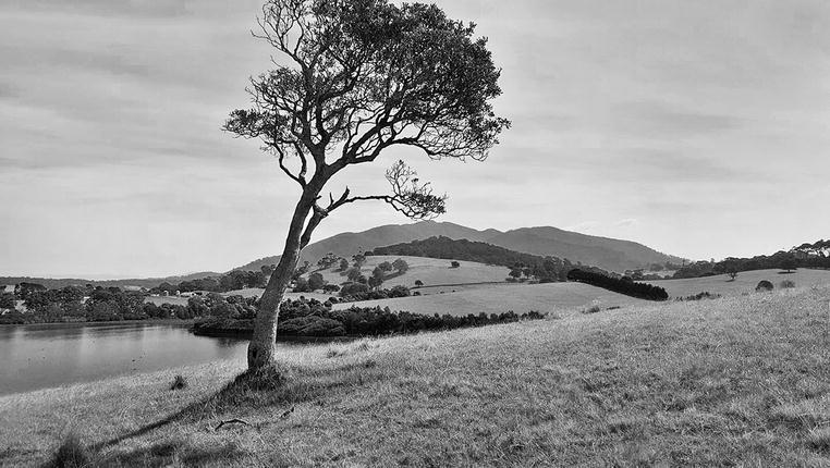 Gulaga Mountain in the background from the Central Tilba area in Australia - photo 3