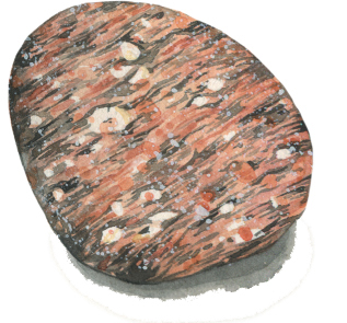 Gneiss Naturally occurring rocks fall into three categories Igneous - photo 4