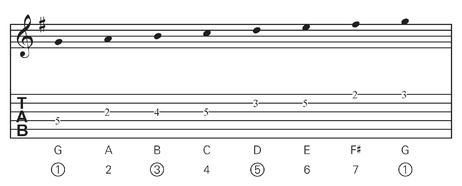 A major scale contains seven notes Were simply going to take the 1st root - photo 2