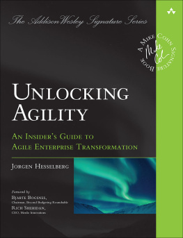 Jorgen Hesselberg Unlocking Agility: An Insiders Guide to Agile Enterprise Transformation (Addison-Wesley Signature Series (Cohn))