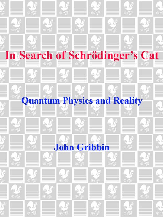 IN SEARCH OF SCHRDINGERS CAT QUANTUM PHYSICS AND REALITY A Bantam Book - photo 1