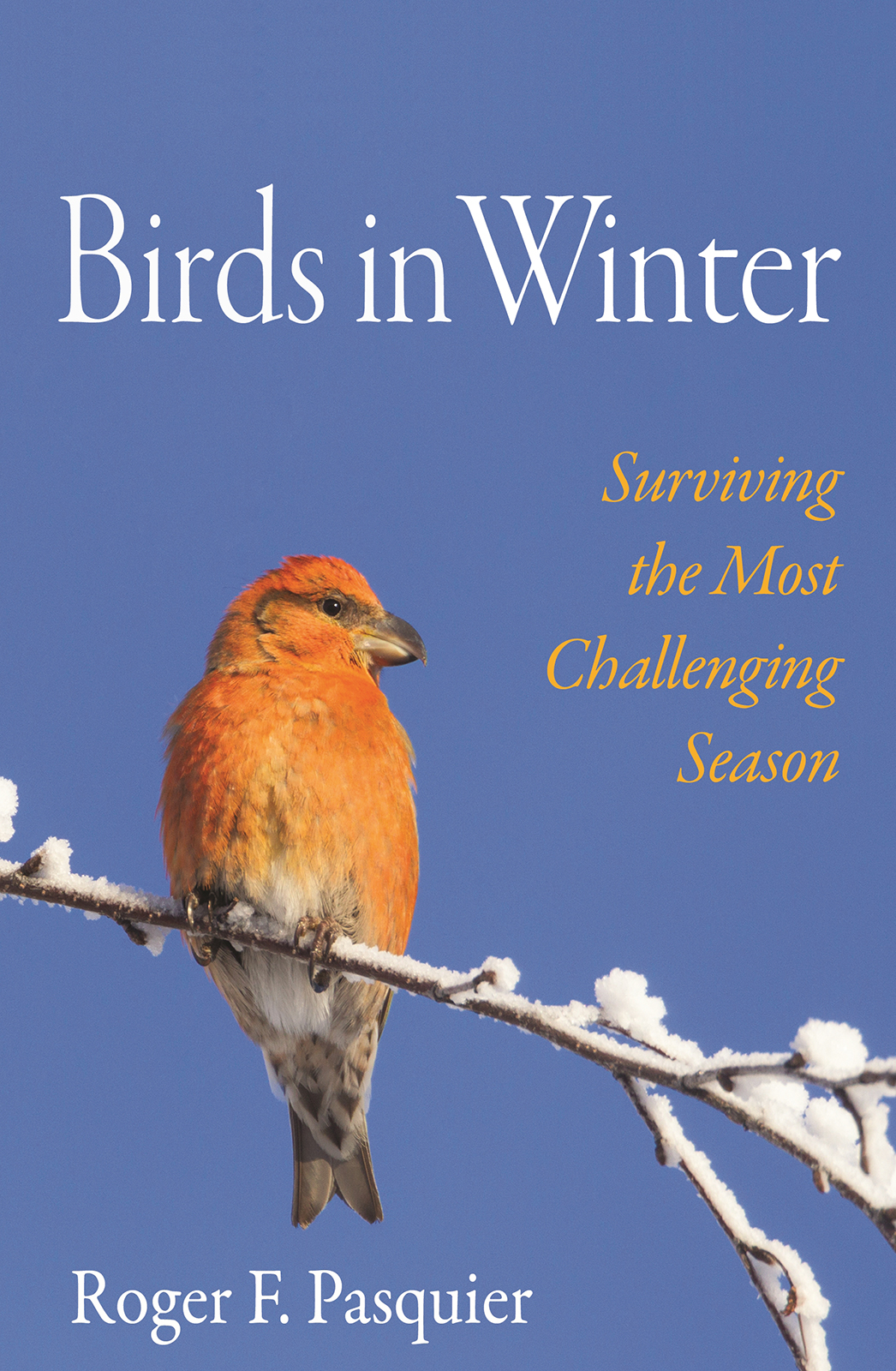 Birds in Winter Surviving the Most Challenging Season Roger F Pasquier - photo 1