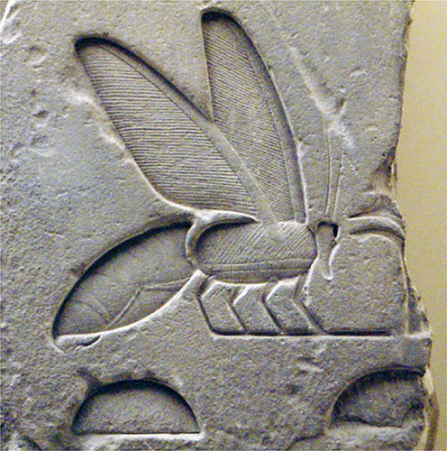 In Egyptian mythology bees came from the tears of the sun god Ra when they fell - photo 6