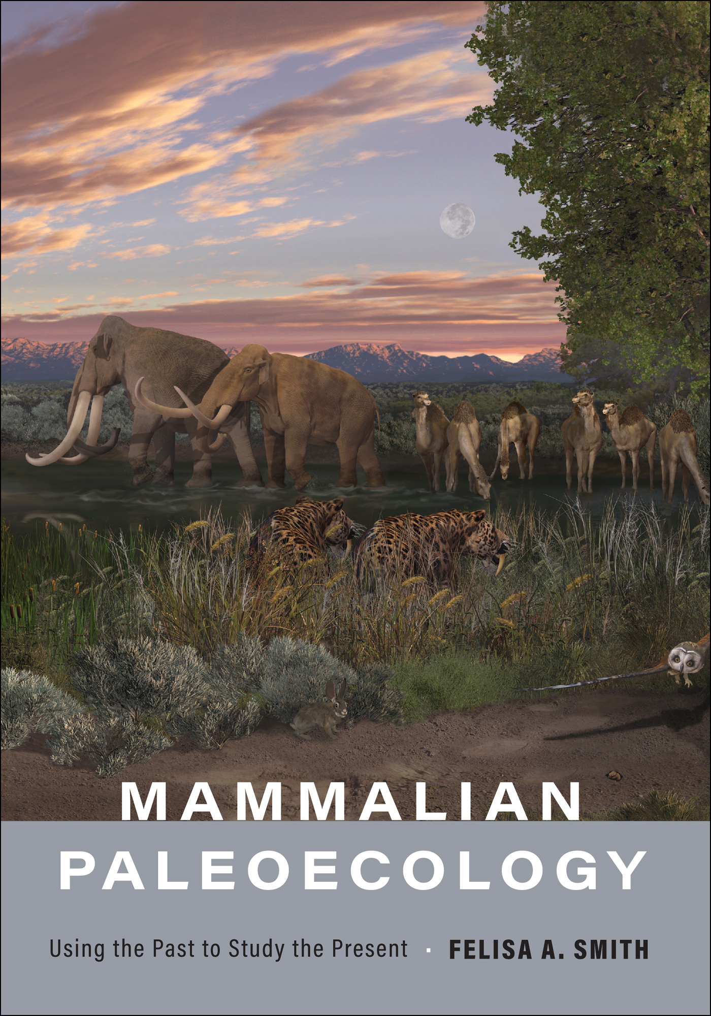 MAMMALIAN PALEOECOLOGY MAMMALIAN PALEOECOLOGY Using the Past to Study the - photo 1