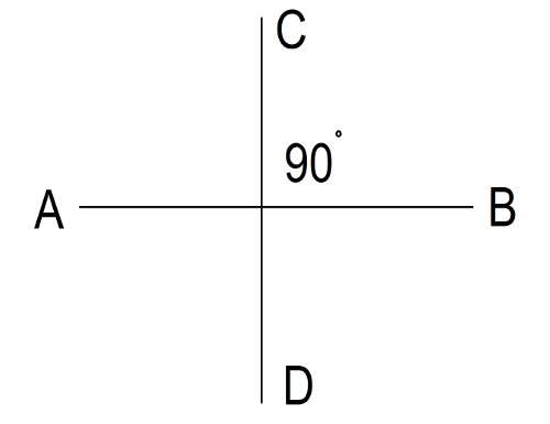 Figure 3 A right angle Parallel Lines If two lines never intersect with each - photo 3