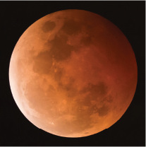 The totally eclipsed Moon of 8 October 2014 as seen from Sydney Photo Geoff - photo 5