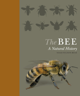 Noah Wilson-Rich The Bee: A Natural History