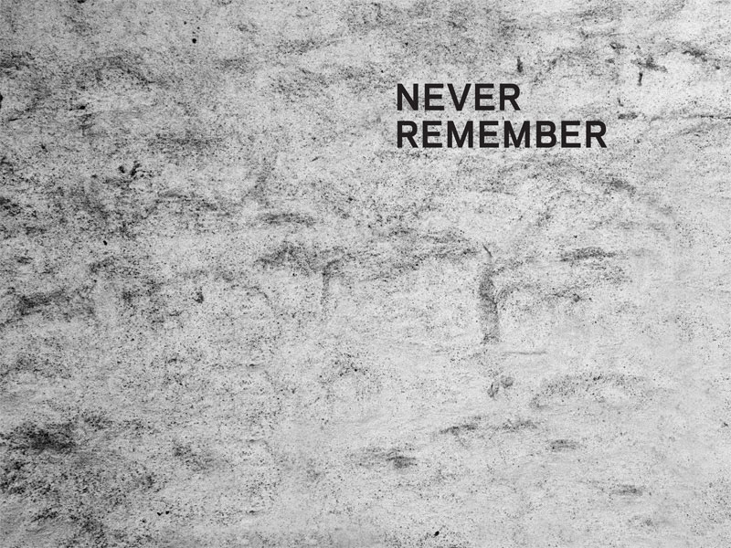 NEVER REMEMBER BY MASHA GESSEN AND M - photo 2