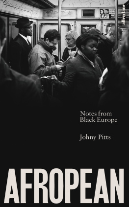 Johny Pitts - Afropean : notes from Black Europe