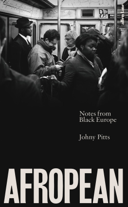 Johny Pitts Afropean : notes from Black Europe