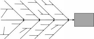 Fig 1 Shape of a Fishbone Diagram As you can see the shape of the above - photo 1