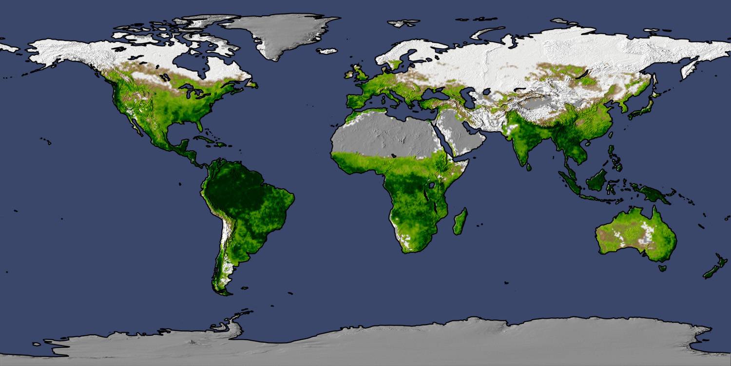 NASAs global map shows the intensity of the Earths primary photosynthetic - photo 1