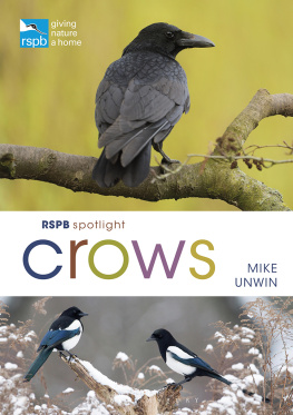 Mike Unwin - Crows