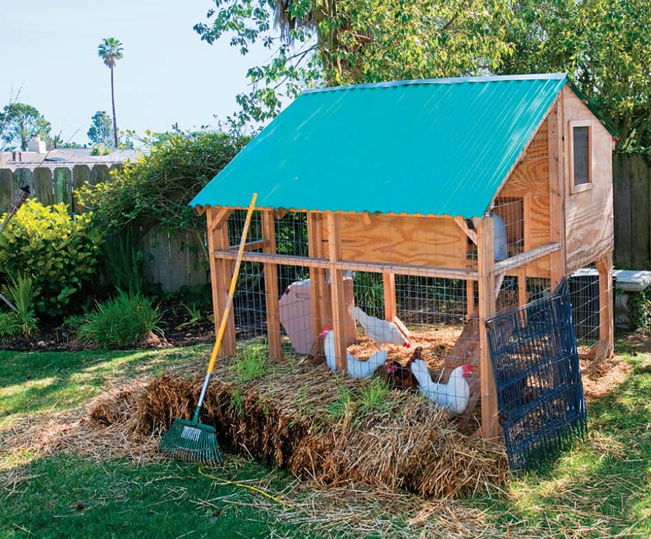 A backyard chicken coop in Los Angeles promotes a healthy lifestyle with - photo 3