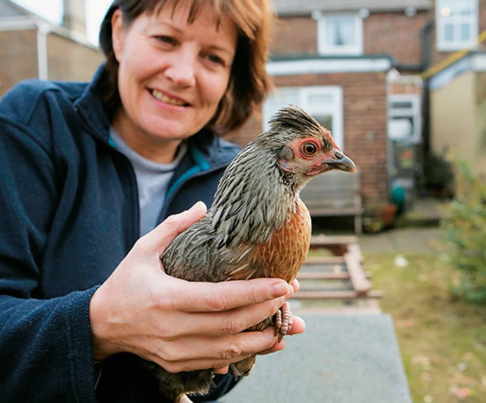 The urban farming movement has grown substantially in recent years AN UPHILL - photo 4