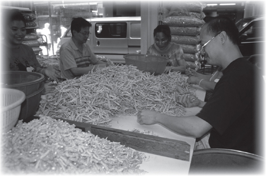 Previous page On Ko Shing Street in downtown Hong Kong employees of a - photo 4