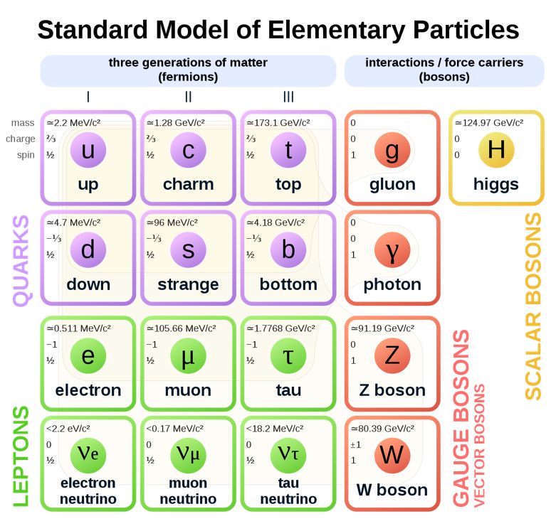 The Standard Model Cush Public domain via Wikimedia Commons Atom A - photo 1