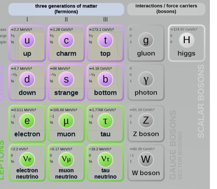 Fermion A fermion is an elementary particle that makes up matter Fermions - photo 8