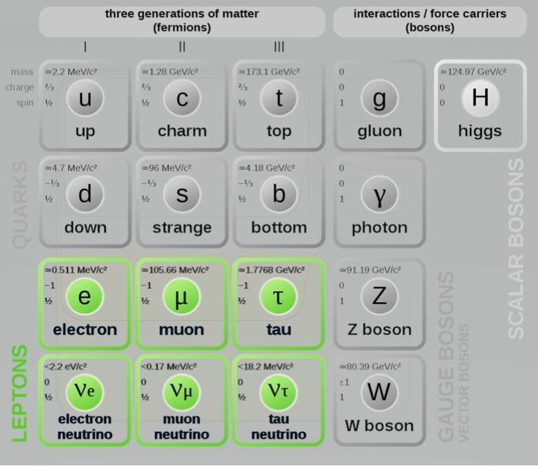 Lepton A lepton is a category of fermion Leptons are elementary particles - photo 17