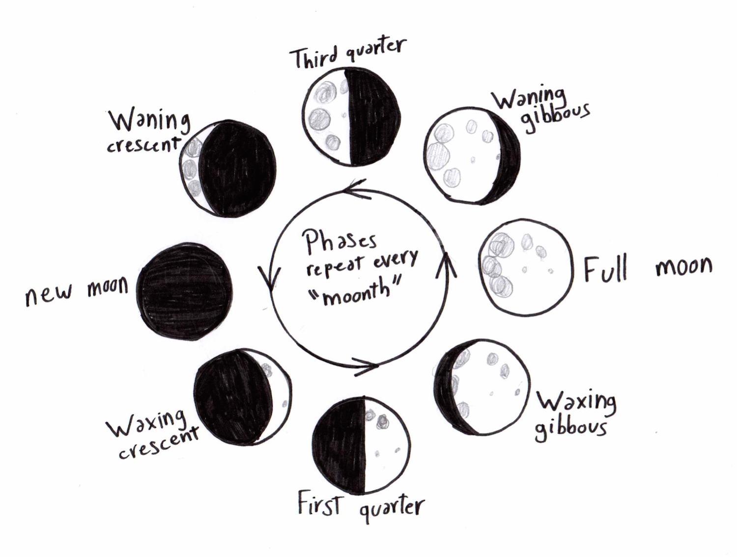 And did you know lots of words come from the Moon Month comes from Moonth - photo 4