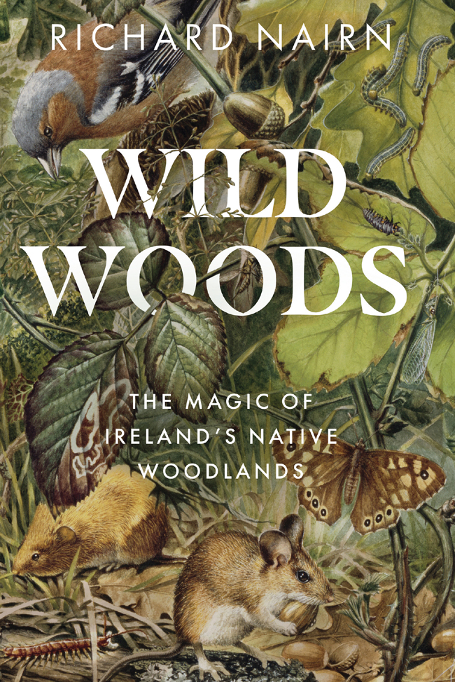 WILD WOODS THE MAGIC OF IRELANDS NATIVE WOODLANDS RICHARD NAIRN GILL BOOKS - photo 1