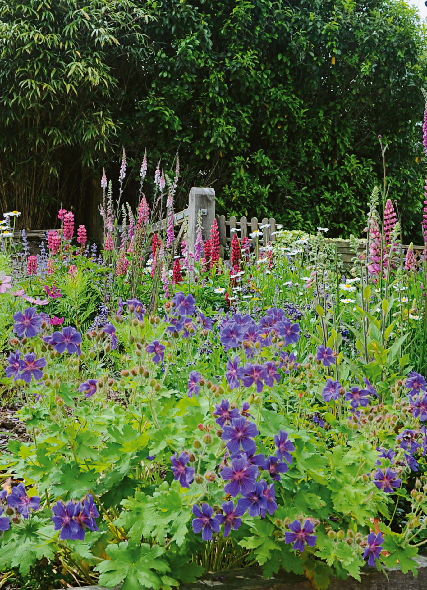 Garden produce dependent on insect pollinators Crop Short-tongued bumblebees - photo 4