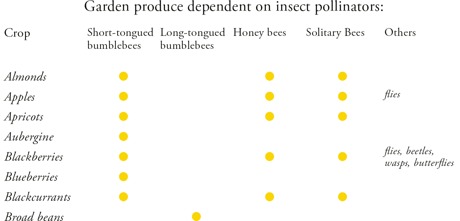 Garden produce dependent on insect pollinators Crop Short-tongued bumblebees - photo 5