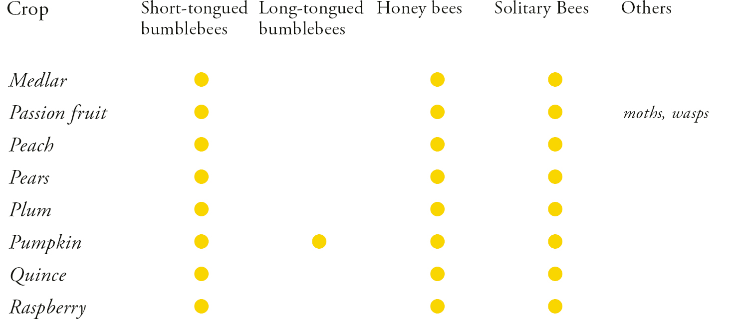 Crop Short-tongued bumblebees Long-tongued bumblebees Honey bees Solitary Bees - photo 7