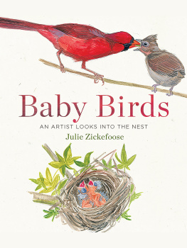 Julie Zickefoose Baby Birds: An Artist Looks into the Nest