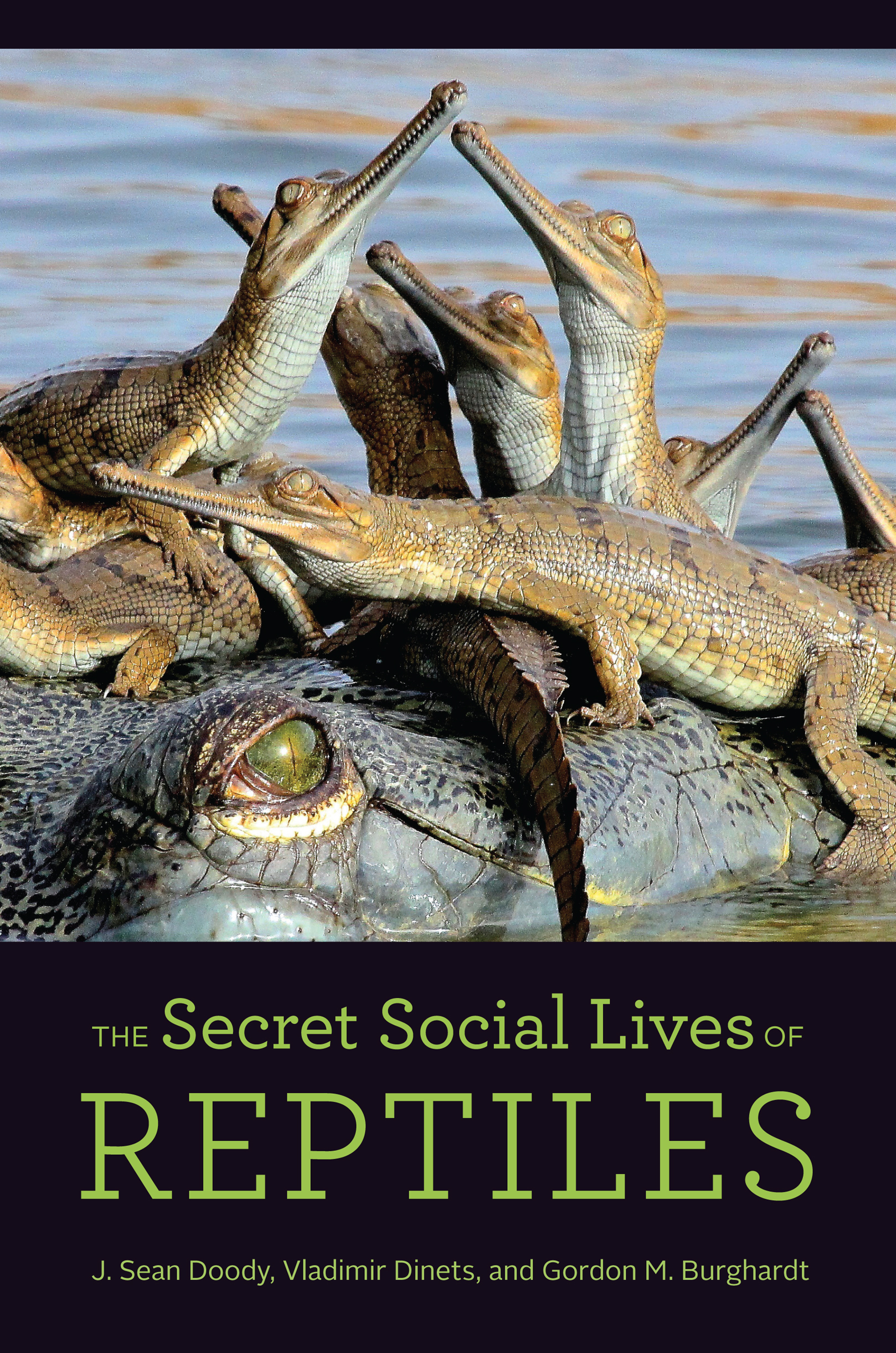 THE SECRET SOCIAL LIVES OF REPTILES Secret Social Lives REPTILES J Sean - photo 1